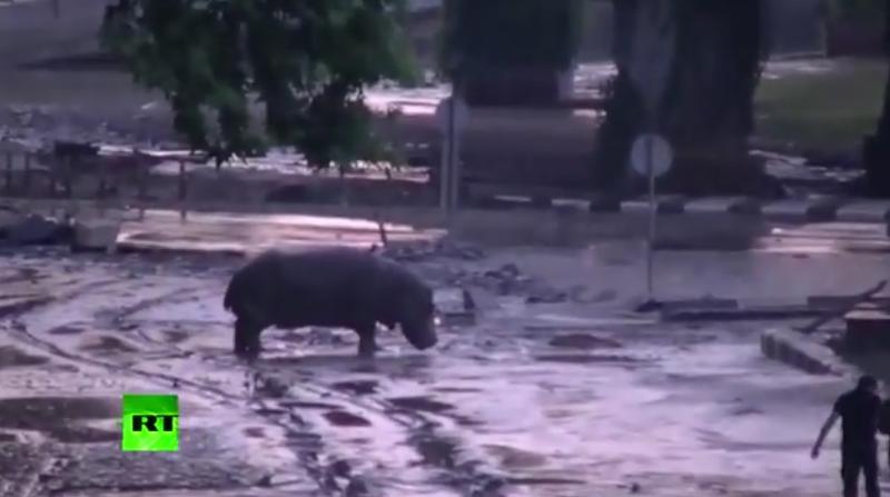 Inundatii inTbilisi, Foto: Captura RT