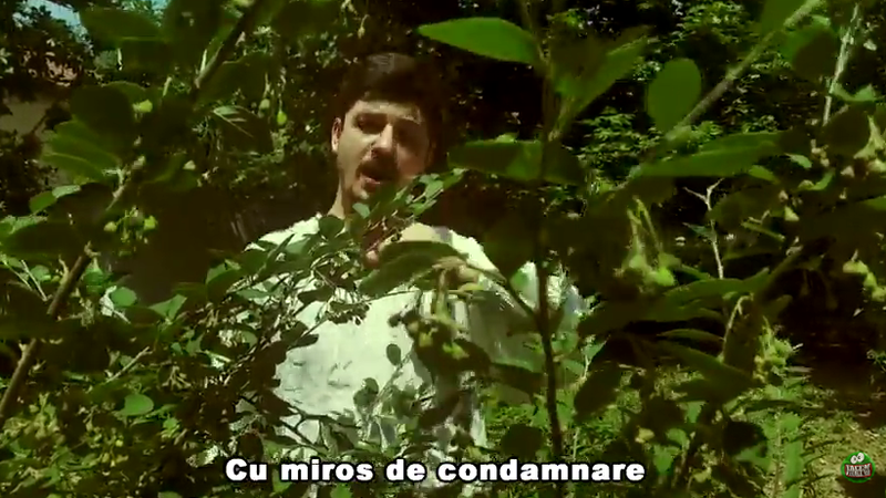 Pamflet muzical cu dedicatie pentru Victor Ponta, Foto: Captura Facemvirale.ro