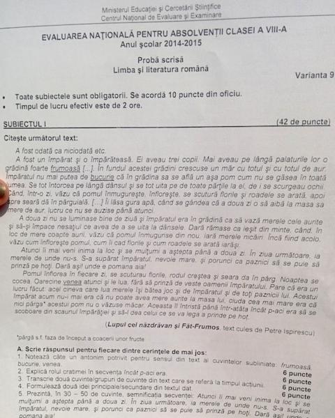 Fragment din subiectele la Limba si literatura romana, Foto: Hotnews