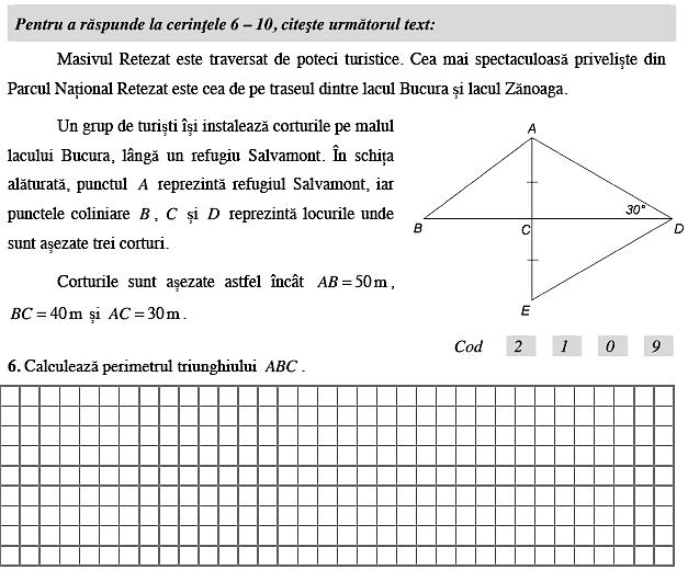 Fragment din Subiectele de la Evaluarea la Matematica si Stiintele naturii 2015, Foto: edu.ro