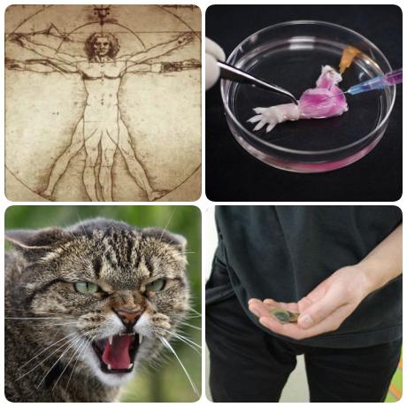 Faze tari, Foto: Colaj foto