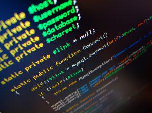 Veniturile programatorilor sunt impozitate fie in baza normelor de venit, fie in sistem real, Foto: Hotnews