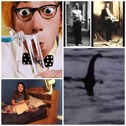 Faze tari, Foto: Colaj foto