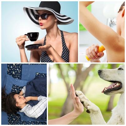 Utile, Foto: Colaj foto