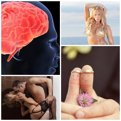 Utile, Foto: Colaj foto