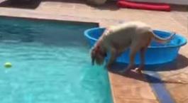 Clipul zilei, Foto: Captura Youtube.com