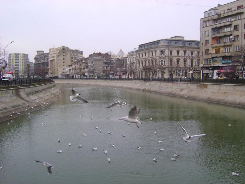 Pe Dambovita, Bucuresti, Romania, Foto: Ioana Marinache