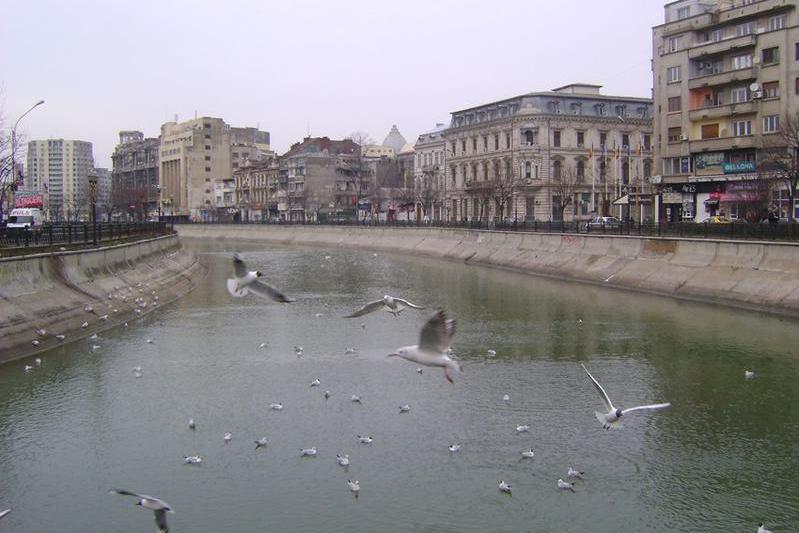 Pe Dambovita, Bucuresti, Romania, Foto: Ioana Marinache