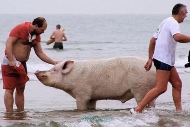 Nebunie pe plaja, Foto: youtube.com