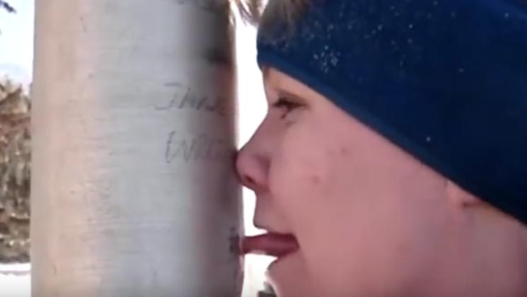 Haiosi, Foto: youtube.com