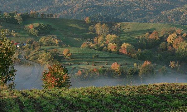 Bucovina, Foto: Irina Tabrea