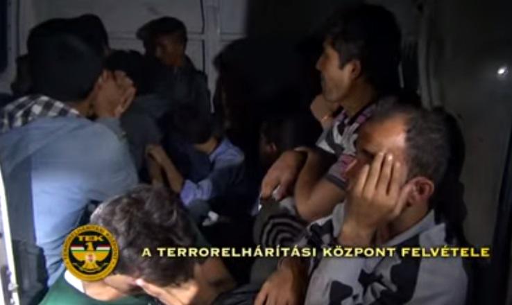 Soferi romani, prinsi transportand imigranti clandestini, Foto: Captura YouTube