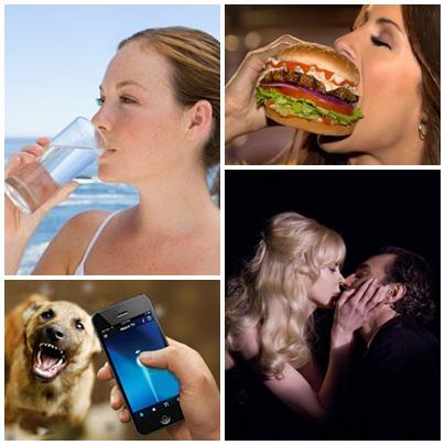 Utile, Foto: Colaj foto