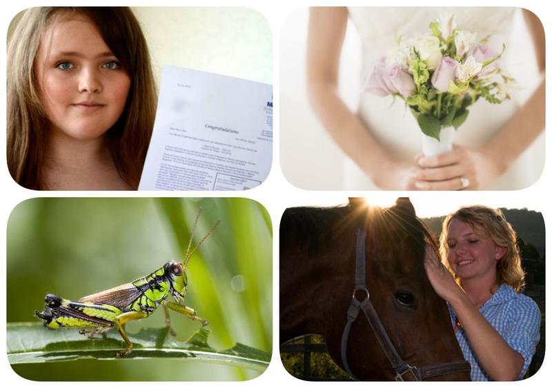 Faze tari, Foto: Colaj foto