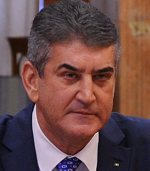 Gabriel Oprea, Foto: Guvern