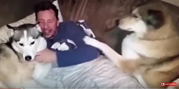 clipul zilei, Foto: Captura YouTube