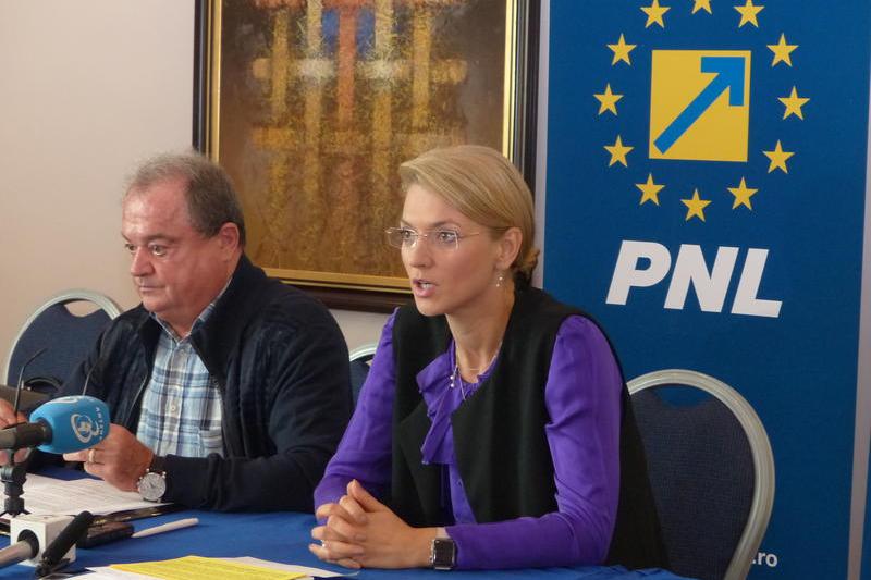 Alina Gorghiu si Vasile Blaga, Foto: PNL