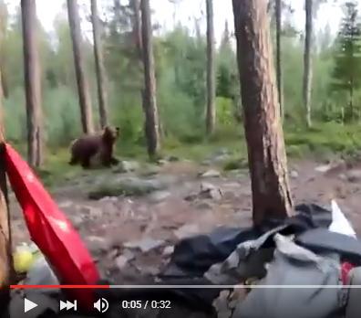 clipul zilei, Foto: Captura YouTube