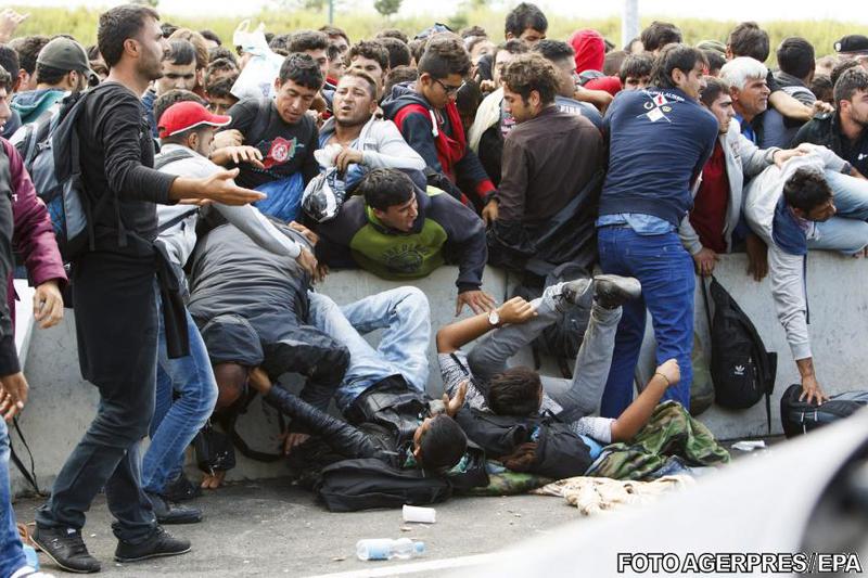 Migranti - busculada la granita ungaro-austriaca, Foto: Agerpres/EPA