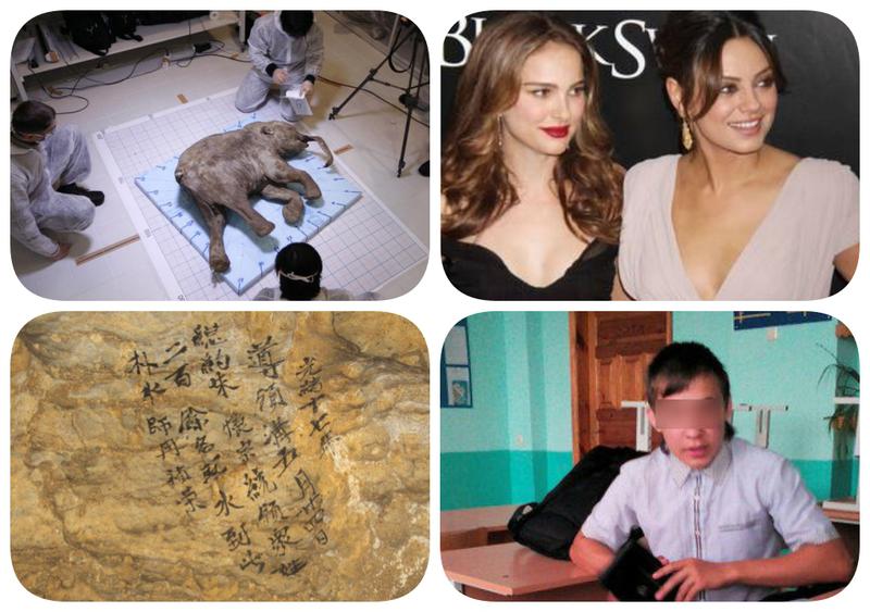 Faze tari, Foto: Colaj foto