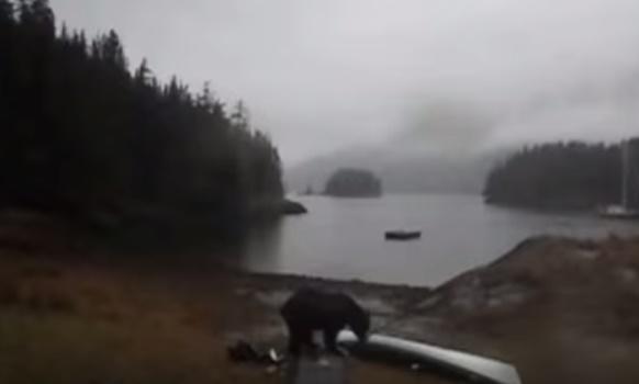 Clipul zilei, Foto: Captura YouTube