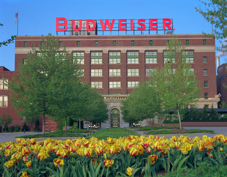 Budweiser, Foto: AB InBev