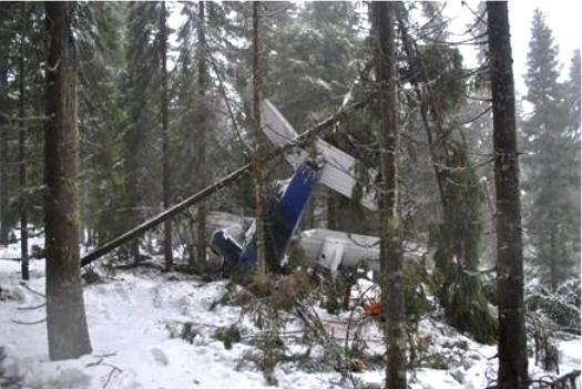 Avionul cazut in muntii Apuseni, Foto: MT