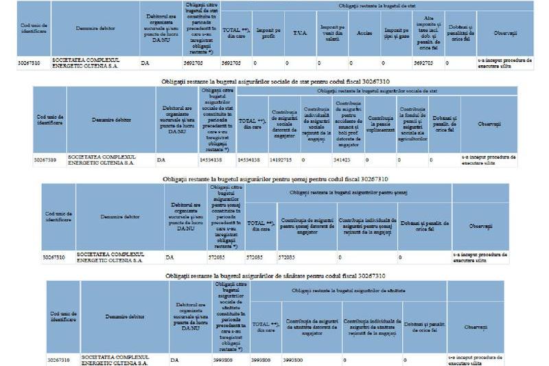 Datoriile la stat ale CE Oltenia, Foto: ANAF