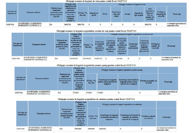 Datoriile la stat ale CE Oltenia, Foto: ANAF