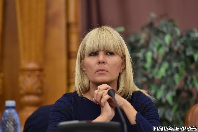 Elena Udrea, Foto: Agerpres