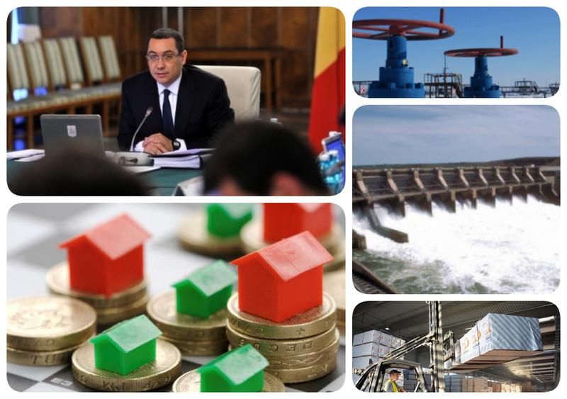 Business report, Foto: Colaj foto