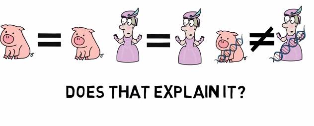 Cum justificam uciderea animalelor pentru hrana, Foto: Captura YouTube