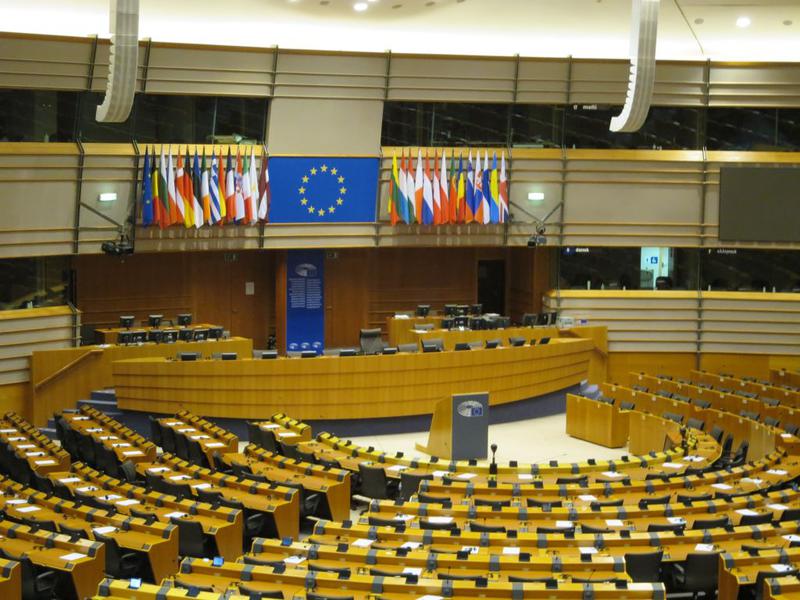 In Parlamentul Europeaan, Foto: Hotnews