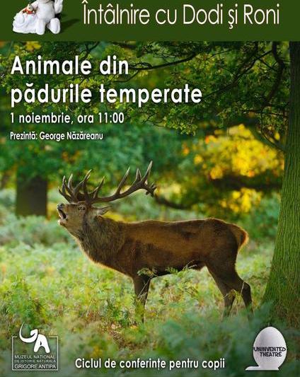 Animale din padurile temperate, Foto: Muzeul Antipa