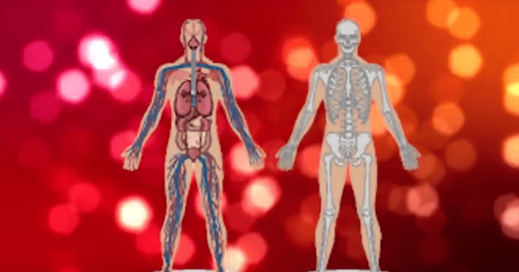 10 lucruri despre corpul tau, Foto: Captura YouTube