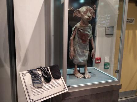 Dobby, Foto: Captura YouTube