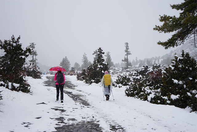 Din Berceni pe Annapurna , Foto: Discovery
