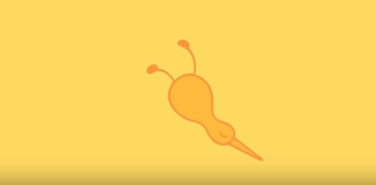 Andreas Hykade - Nuggets, Foto: Captura YouTube