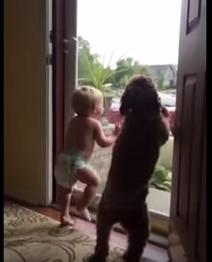 clipul zilei, Foto: Captura YouTube