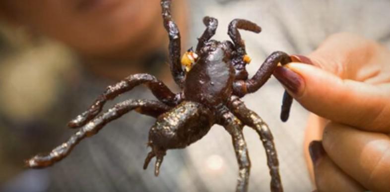 Top 10: Cele mai ciudate specialitati culinare, Foto: Captura YouTube