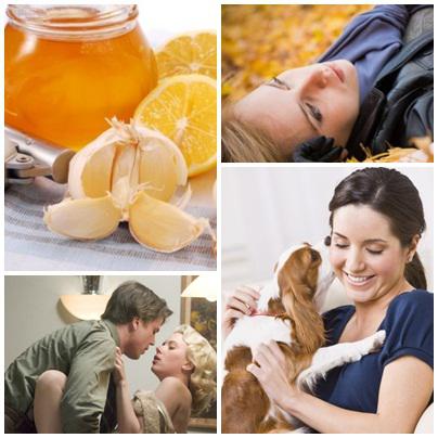 Utile, Foto: Colaj foto