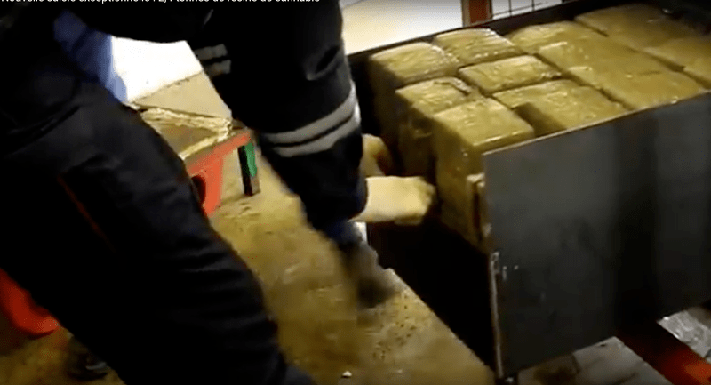 2,4 tone de canabis, capturate in Franta, Foto: Captura YouTube