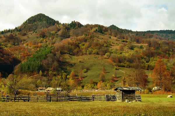 Grinties, judetul Neamt, Foto: Codrita