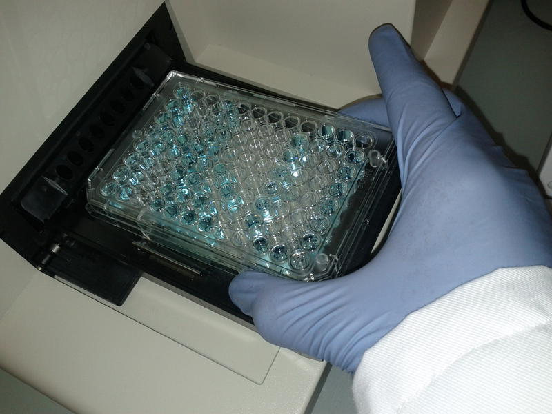 Laborator, Foto: MorgueFile.com