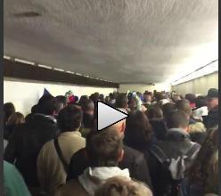 Suporteri francezi canta Marseieza, Foto: Liveleak