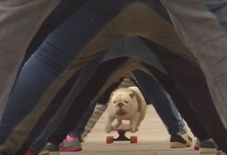 Clipul zilei, Foto: Captura Youtube.com