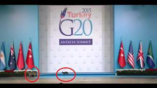 Pisici pe scena G20, Foto: youtube.com