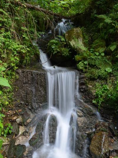 Cascada Olteana, Foto: Coalitia Natura 2000