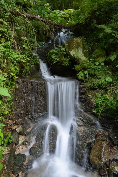 Cascada Olteana, Foto: Coalitia Natura 2000