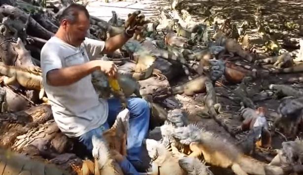 Clipul zilei, Foto: Captura Youtube.com